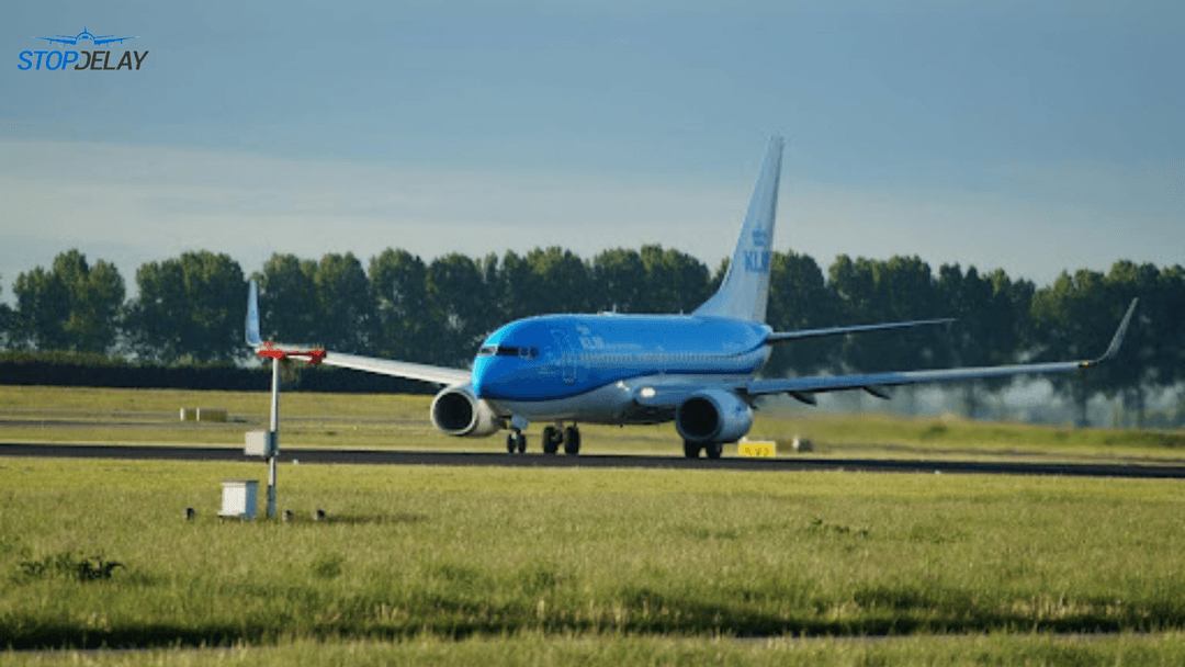 canceled or delayed flights